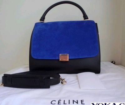 香港归来 晒入手的一些美包美鞋~~celine，tod's,prada,ysl,lv