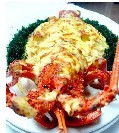 圣诞游港 各类人群的别样美食攻略
