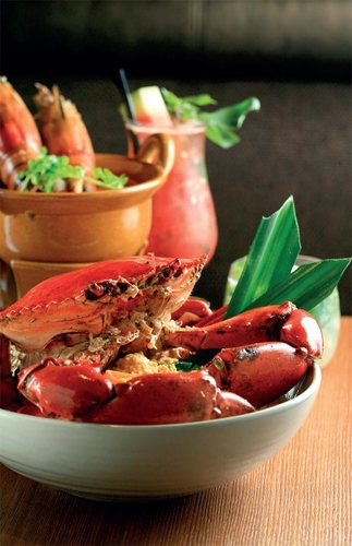 美味指引 香港美食新开店