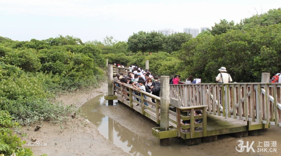 香港湿地公园