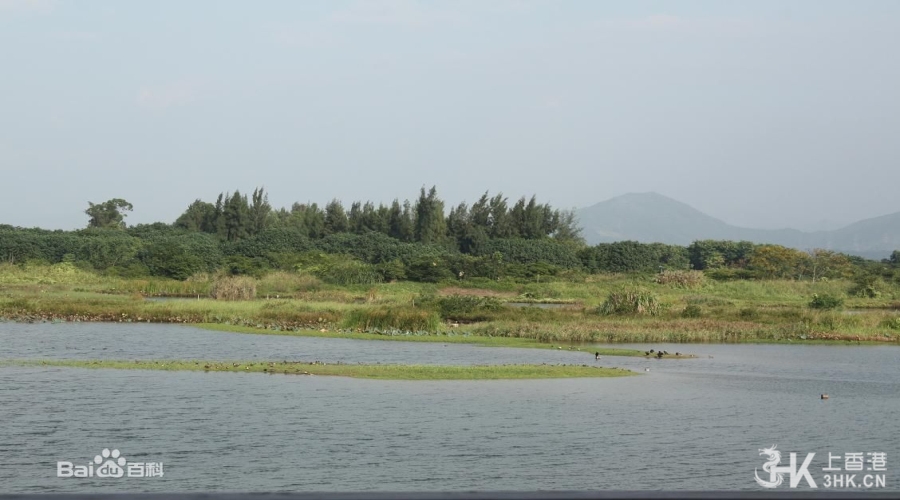 香港湿地公园