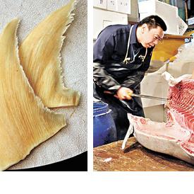 港府饭局禁食发菜鱼翅蓝鳍吞拿