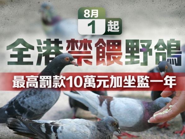 禁喂野鸽｜渔护署研装闭路电视助搜证