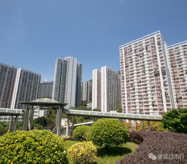 公屋平均轮候时间维持5.5年　长者一人申请者轮候降至3.5年