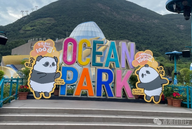 杨润雄：海洋公园转型已见成效　财年收入创5年新高