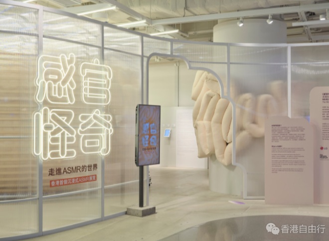 这个奇怪的小众展览，有点太治愈了