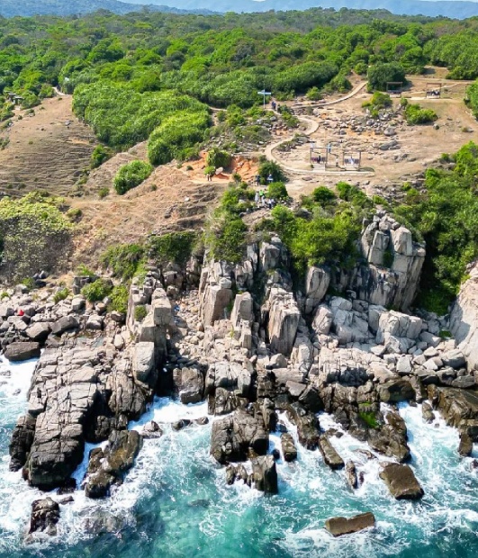 发现香港｜海牧星洲